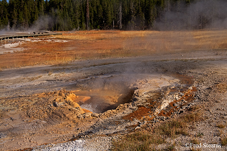 Yellowstone NP Aurum Geyser Eruption