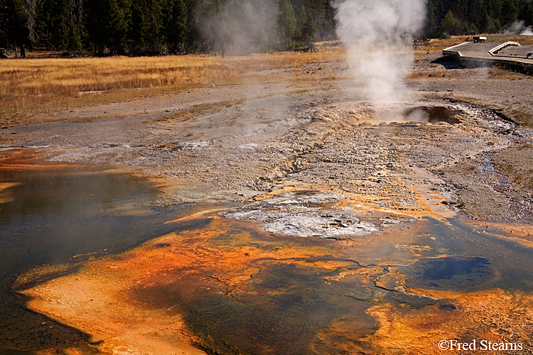 Yellowstone NP Upper Geyser Basin