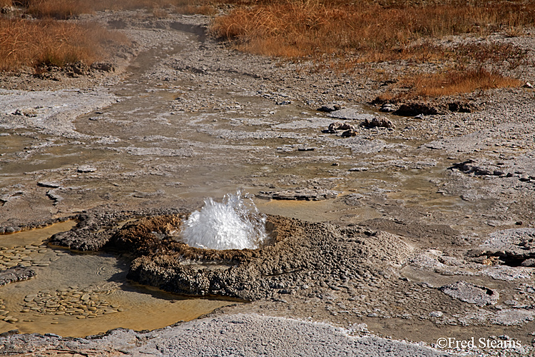 Yellowstone NP Upper Geyser Basin