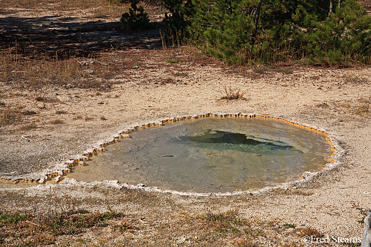 Yellowstone NP Upper Geyser Basin