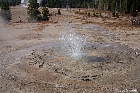 Yellowstone NP Upper Geyser Basin