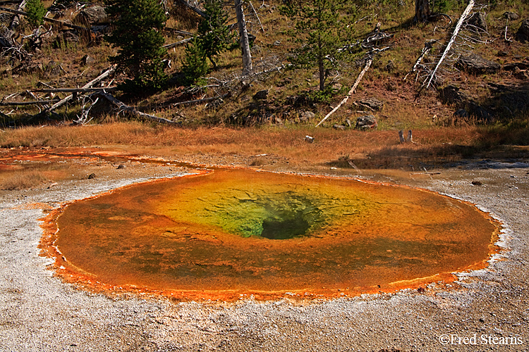 Yellowstone NP Upper Geyser Basin