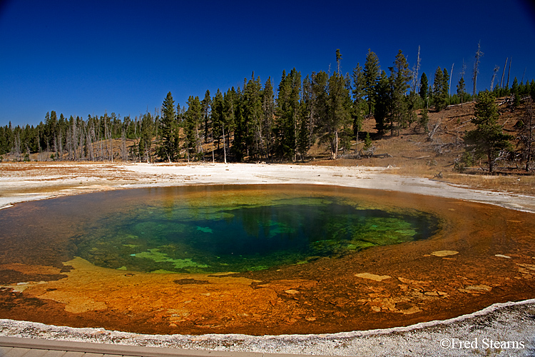 Yellowstone NP Upper Geyser Basin