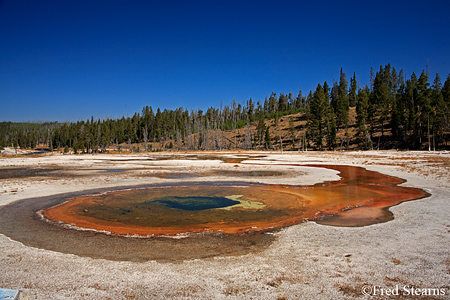 Yellowstone NP Upper Geyser Basin