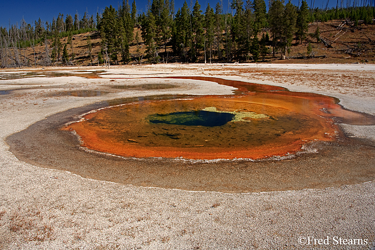 Yellowstone NP Upper Geyser Basin