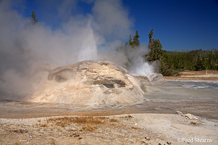 Yellowstone NP Upper Geyser Basin