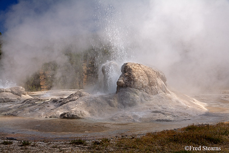 Yellowstone NP Upper Geyser Basin