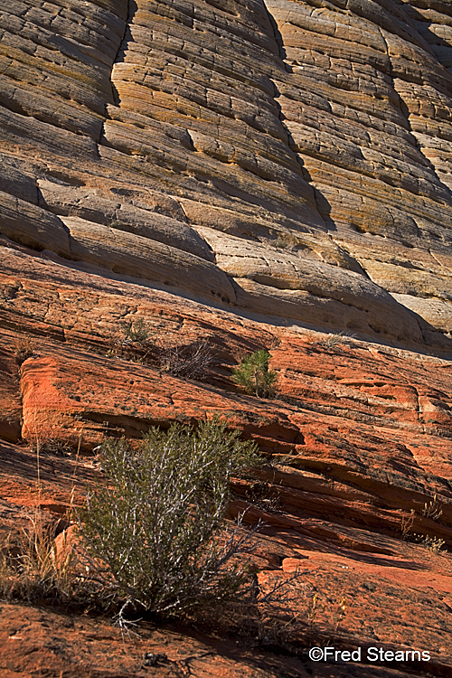 Zion National Park, Checkerboard Mesa