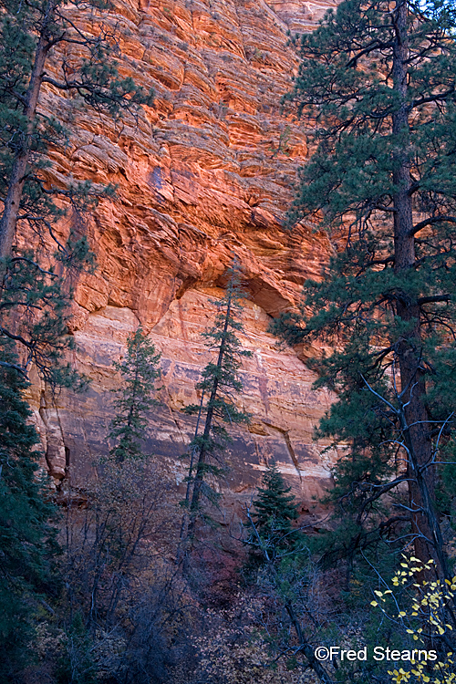 Zion National Park, Red Cliff