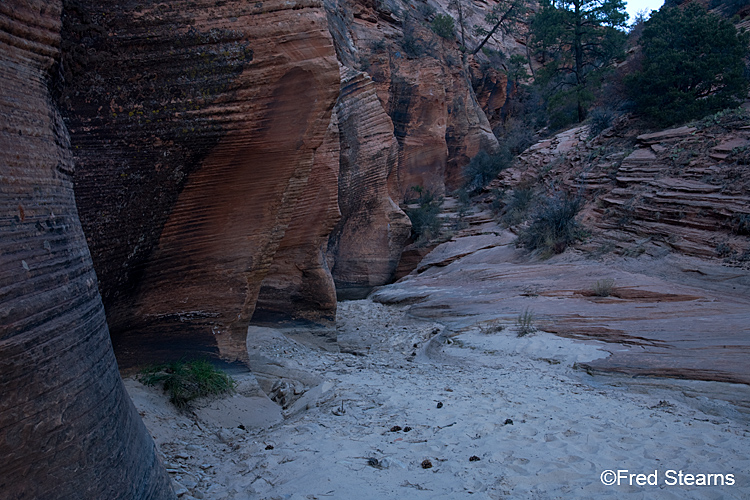 Zion National Park, Scallop Gulch