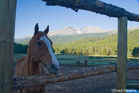 Rocky Mountain NP Wind River Ranch Horse in Corral