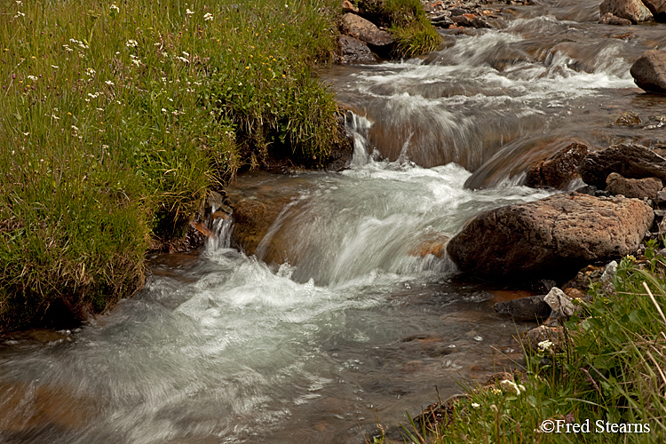 Horseshoe Creek Ouray Colorado