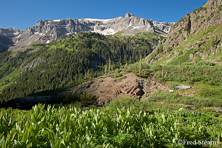 Yankee Boy Basin Uncompahgre National Forest Ouray Colorado