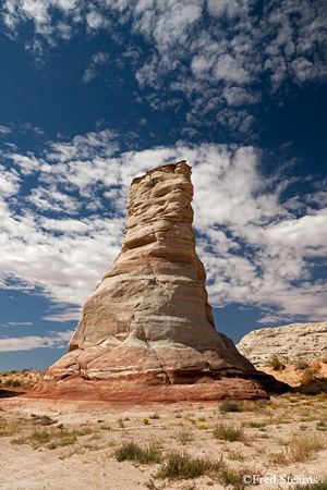 Navajo Tribal Park Elephant Feet